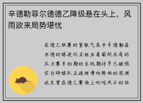 辛德勒菲尔德德乙降级悬在头上，风雨欲来局势堪忧