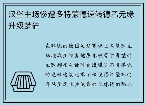 汉堡主场惨遭多特蒙德逆转德乙无缘升级梦碎